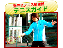 Tennis Guide Ⅱ テニスガイド2 素振り練習機の+spbgp44.ru